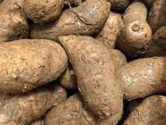 -崀山风景名胜区