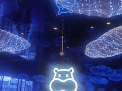-盒马X会员店(上海森兰商都店)