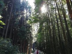 -山王坪喀斯特国家生态公园