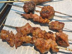 内蒙古羊肉串-寂寞的豆芽 蒙古原切大串(金宇店)