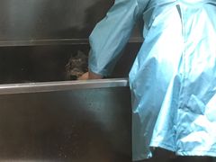 -Pets First伊珊娜洗护·精致美容·家庭式寄养(新会路店)