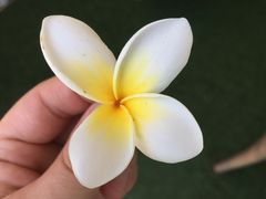 -老韩家清真食府