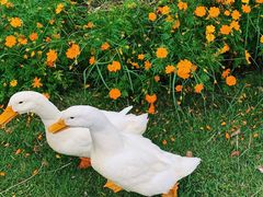 -Club Med地中海俱乐部·桂林度假村