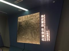 -湖南省地质博物馆