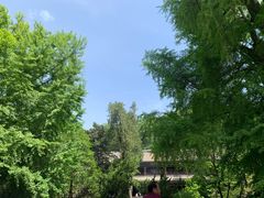 -潭柘寺景区
