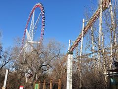 -哈尔滨文化公园