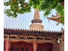 -张掖大佛寺景区