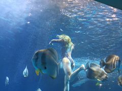 -太平洋海底世界