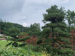 -铁山坪森林公园