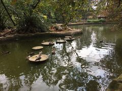 -昆明动物园