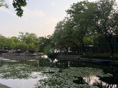 -西湖天地