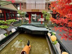 -老山东·山东菜(鲁菜名店)