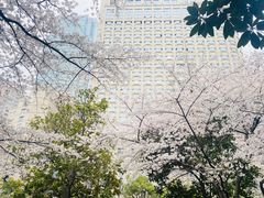 -中国银行(上海市新闸路支行)