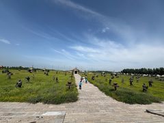 -坝上草原大汗行宫旅游景区