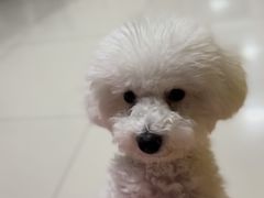 -纳吉亚猫专科动物医院·北北分院