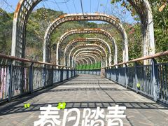 -金鸡山公园