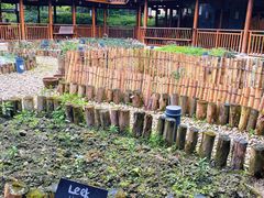 -青城山六善酒店·紫氣園中餐厅