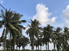 -霞山观海长廊
