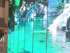 -桂满陇·海市蜃楼·黑金(国金店)