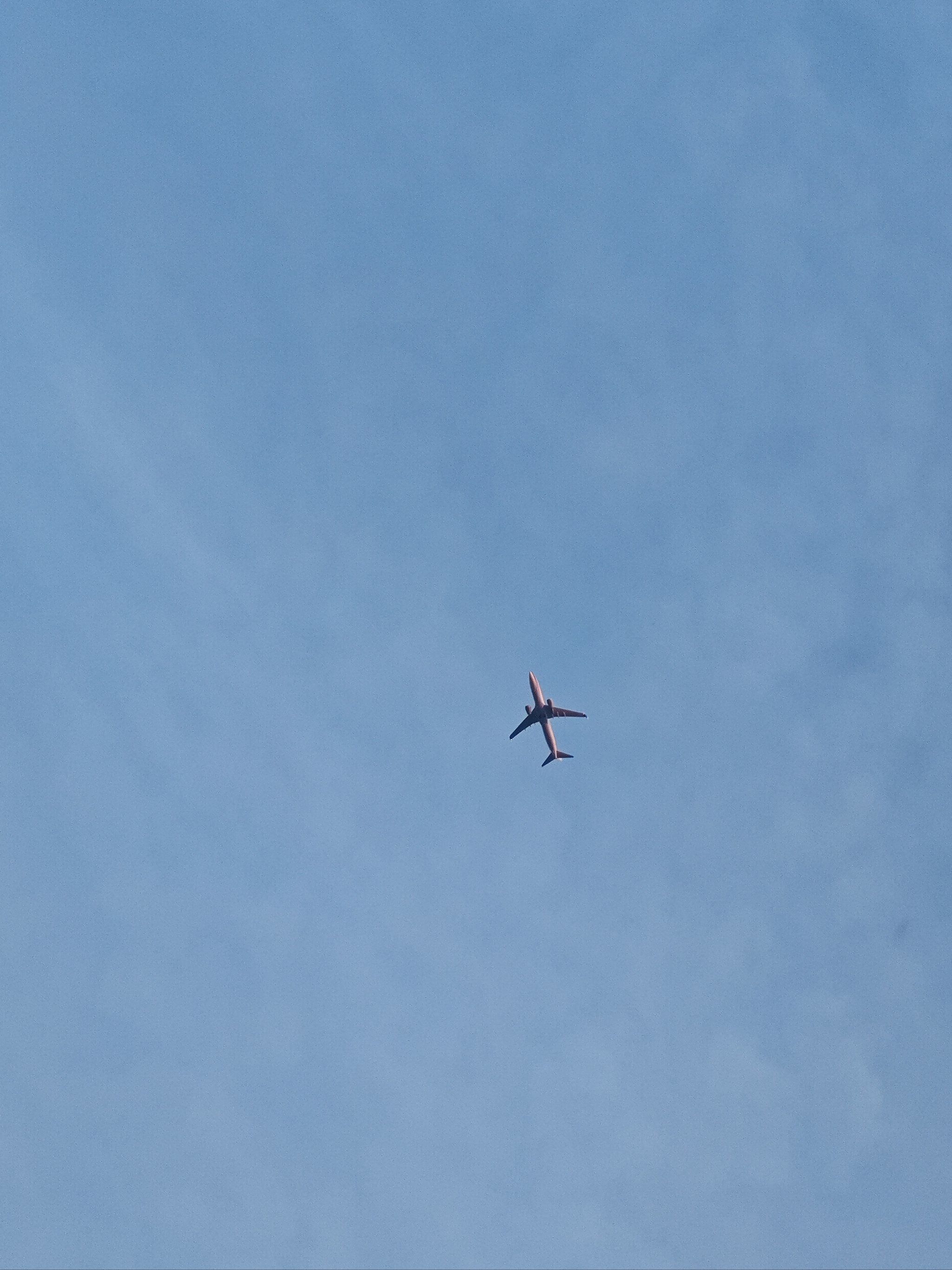 飞机飞过天空之城