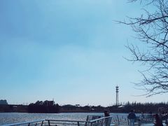 -顾村公园