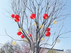 -南阳卧龙岗武侯祠