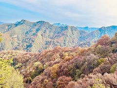 -少华山国家森林公园
