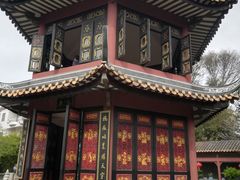 -碧江金楼