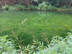 -湖洞水自然风景区