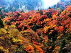 -广元唐家河嘉怡客栈