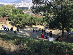 -梅峰山地公园
