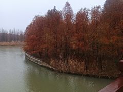 -苏州太湖国家湿地公园
