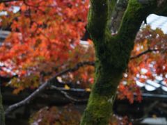 -醍醐寺