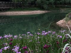 -黄公望隐居地