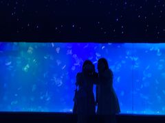 -左海海底世界