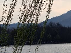 -西湖游船