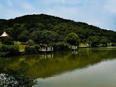 -龙寺生态园