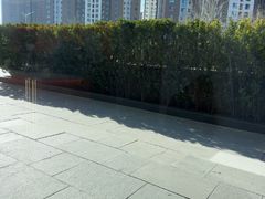 -星巴克(北京望京东园店)