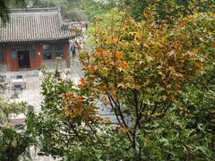 -香山公园