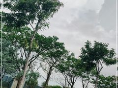 -三亚蜈支洲岛旅游区