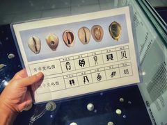 -青岛贝壳博物馆
