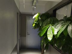 -石牌岭小亮蒸虾•湖北老字号(左岭店)