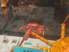 -天津自然博物馆