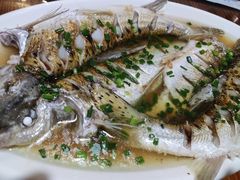 -呼吸森林·生态农庄农家乐私房菜