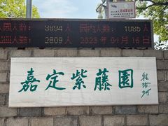 -嘉定紫藤园