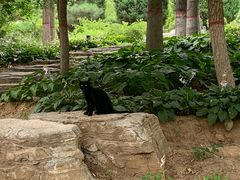 -燕郊植物园