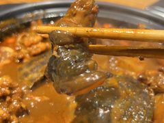 甲鱼肉-洪湘记川湘·甲鱼馆(四海凯悦美食广场店)