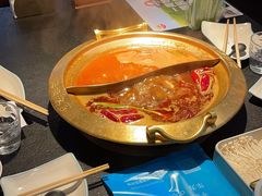 -熊喵来了火锅(太原里第2分店)