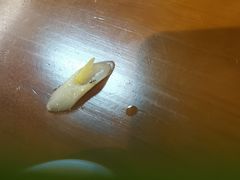 -津门老羊家·铜锅涮羊肉·烧烤(科技园店)