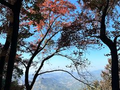 -广州市石门国家森林公园